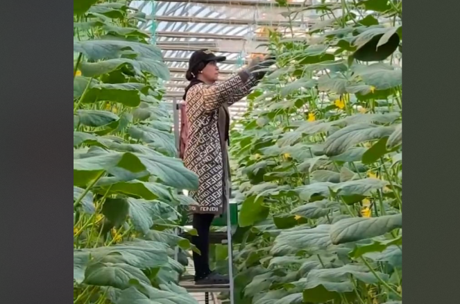 1761480553685233.png image.png