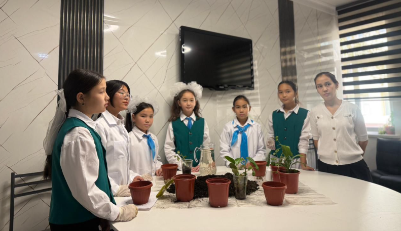 1763200019640790.png image.png