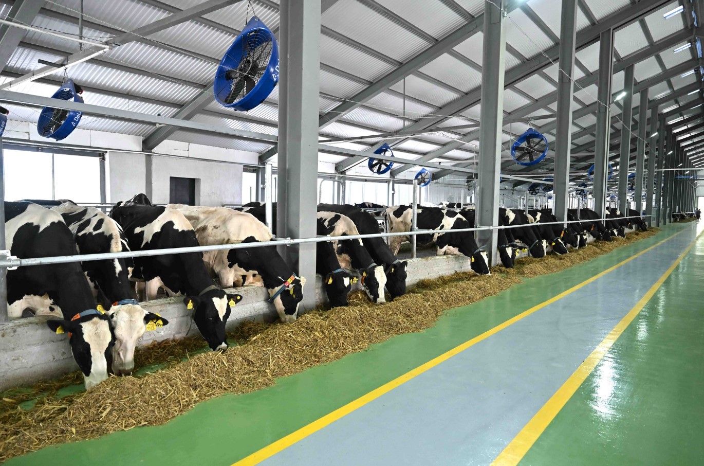 1765280095689097.jpg Screenshot_7.jpg