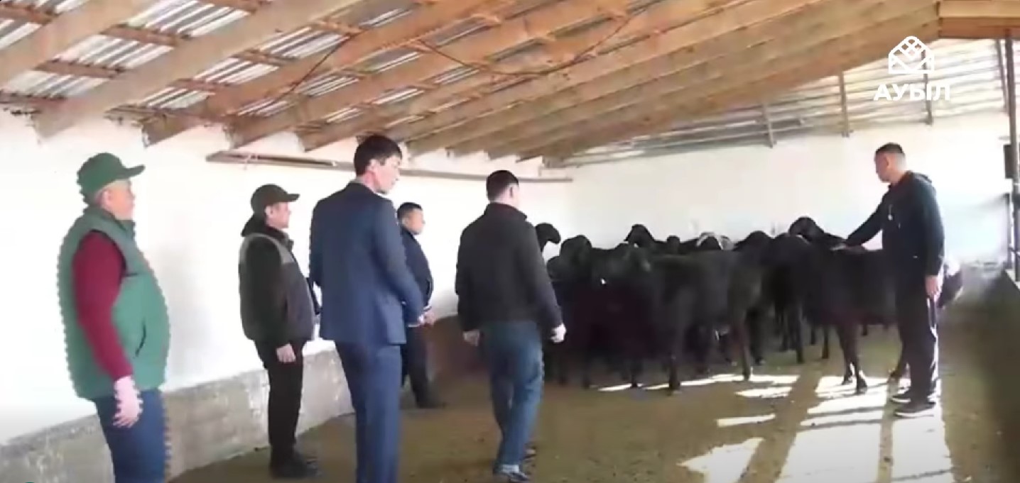 1765371368899103.jpg Screenshot_17.jpg