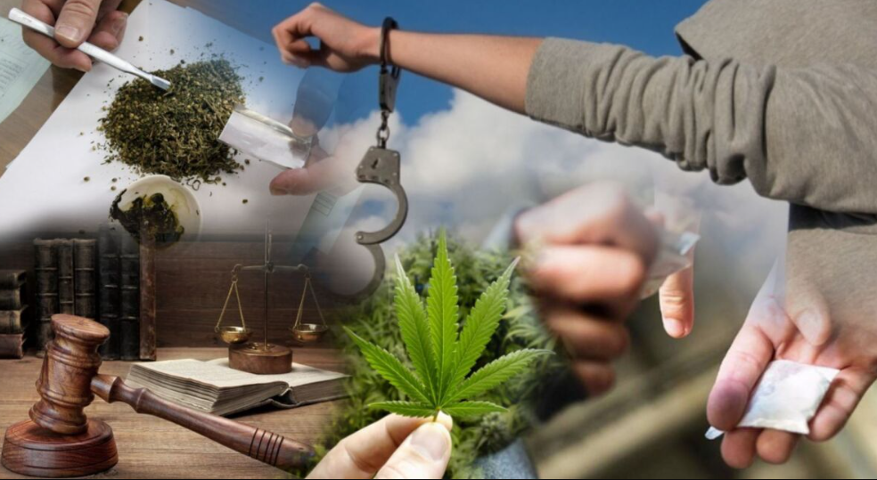 1770007393339201.png image.png