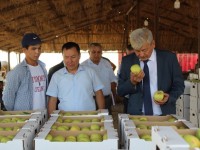 Жетісайда береке, ырзық-несібе салтанат құрды