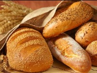 Түркістанда нау зауыты күніне 13,7 тонна өнім шығарады