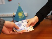 Мүгедектің көмекшісі болу 800 мың теңге