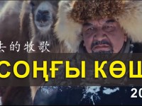 Ұлттық бояуы қанық, саяси астары аз кино