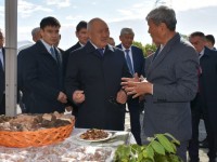 Бұл көрме бұрынғы көрмеден өзгерек...