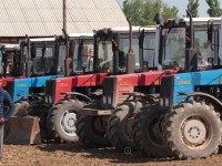 Мақтааралда егістік көлемі 6282,5 гектарға жетті