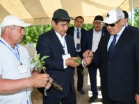 Ө.Шөкеев: Ауыл-аймақты көркейту керек