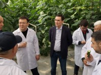 Татарстандық кәсіпкерлер Түркістанның өнімдеріне қызықты