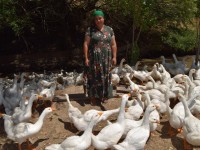 Көпбалалы ана өз кәсібін дөңгелетіп отыр