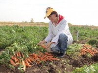 Тараздықтарға жеке шаруашылық үшін жер беріледі