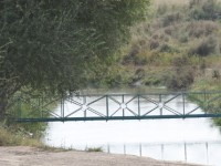 «Достық» Мырзашөлдің «тамырына қан жүгіртті»