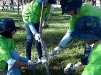 Көгалдандырады әрі табыс табады