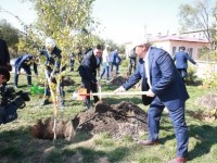 Премьер-министр мен облыс әкімі Түркістандағы аллеяда ағаш отырғызды