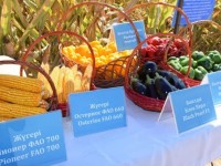 Жылына үш рет өнім алатын қожалық