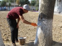 Мақтааралдықтар дүниежүзілік экологиялық акцияға ат салысты