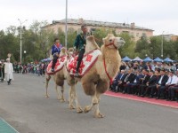 Кентауға - 64 жыл!