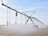 Диқандар инновациядан қалыс қалып жатқан жоқ