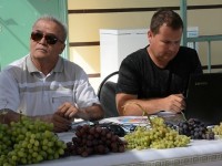 Жүзім өсіруден тәжірибе алмасты