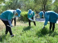 Жастар туған жерді көркейтуге атсалысады