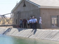 Сенат депутаттары Төле биде