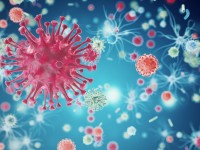 Коронавирус Келестен тарай ма?