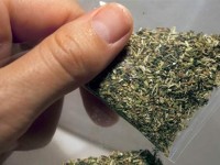 Полицейлер автокөліктен марихуана тәркіледі