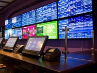 Созақта құмар ойын кеңсесінің басшысы қамауға алынды