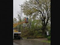 Қала жауын-шашын салдарынан тазарды