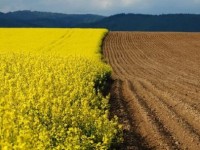 Ауылшаруашылыққа қажетті жер көлемі ұлғайды