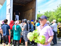 Шымкентте бір күнде 63 тонна қырыққабат тегін таратылды