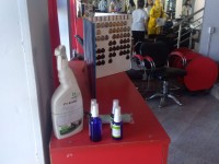 Шымкент: Базарлар мен банктерде дезинфекциялау жұмыстары жүргізілуде