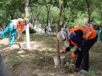 «Шымкент – менің қалам»  акциясы өтті