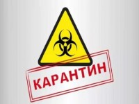 Карантин режимі мен шектеу шараларына өзгерістер  енгізілді