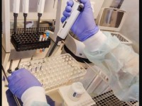 Шымкентте қосымша 3 птр зертханасы ашылды