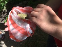 Есірткі сақтау заң бұзу болып табылады