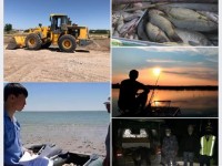 Жер қойнауын заңсыз пайдаланғандар жазаға тартылды
