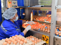 В рамках госпрограммы трудоустроено около 20 тыс. человек