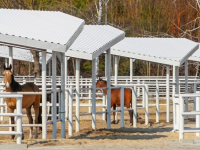 В Шымкенте построят новый ипподром