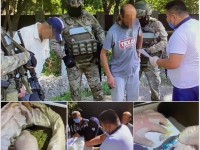Шымкент тұрғындарынан екі келіден астам марихуана тәркіленді