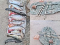 Заңсыз балық аулағандар алты жылға дейін сотталады