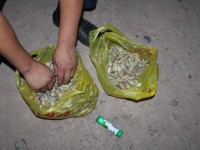 Есірткі саудасының жолы кесілді