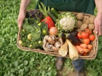 «Егістіктен сөреге дейін» жобасы Түркістан облысында жүзеге асады