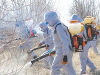 Сырдария аумағында дизенфекция жұмыстары жүргізілді