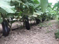 100 азамат мемлекеттік грант ұтып алды