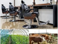 2241 кәсіпкерге қаржылай көмек берілді