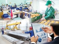 Түркістан облысы «Қарапайым заттар экономикасында» көш бастады