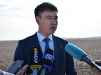 Түркістан облысында бір алқаптан 2-3 өнім алу жобасы жүзеге асуда