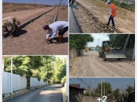 Сарыағаш тұрғындары мемлекеттік бағдарламаның шарапатын көруде