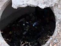 Шымкентте канализация құдығында екі жылдан астам жатқан мәйіт табылды